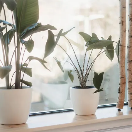 Luxus Am Bauhausmuseum Apartman Dessau-Rosslau