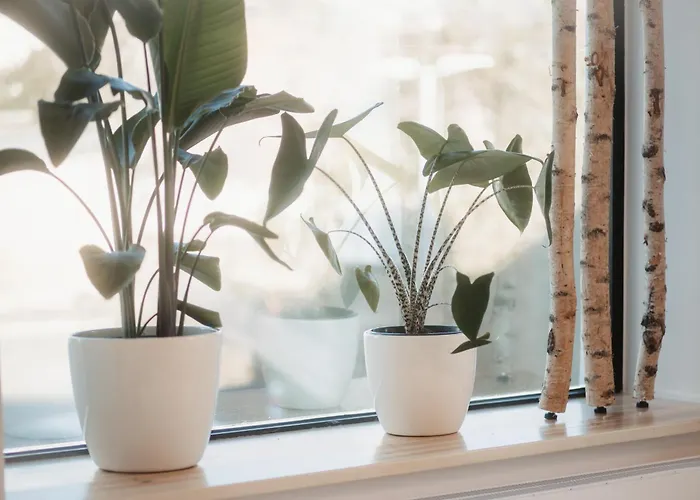 Luxus Am Bauhausmuseum Lejlighed Dessau-Rosslau